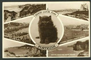 1960 Rppc Postcard Good Luck From Portrush Black Kitten Center Ramore Ave Tennis