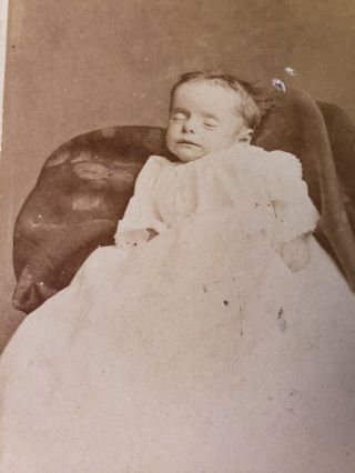 Antique Victorian Post Mortem Memorial Mourning Dead Baby Cabinet Photo