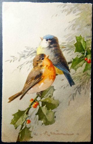 Postcard Artist Signed C.  Klein (catherine) Birds On Holly Branch Switzerland