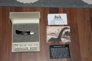 Santa Fe Stoneworks Dinosaur bone demascus steel pocket knife 3