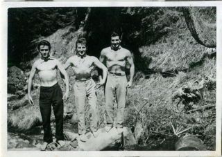 Beefcake Shirtless Men Showing Muscles Gay Interest Photo Vintage 1950s