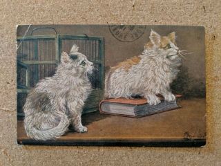 Cat Vintage Postcard.  2 Cats.  Book.  Cage.  Mailed.  French.  Pm 1921.
