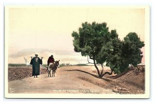 Vintage Postcard Cairo Egypt Hand Colored Rppc Route De Louqsor Luxor E2