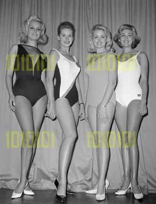 Photo - Miss World 1965,  Winner Miss Uk,  With Miss Rhodesia,  Usa & South Africa