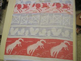 Vintage Western Woven Cotton Blanket