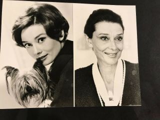 Audrey Hepburn Orginial 6 1/2” X 8 1/2” Photo Alan Band 1990