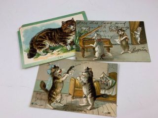 Set Of 3 Antique/vintage Early 1900’s Tuck’s Humorous Cats Postcards