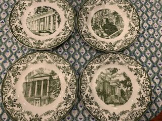 Set Of 4 Wedgewood Porcelain Tulane University 10 1/4 " Plates