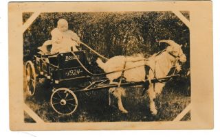 Vintage Rppc Baby In Cart Pulled By Goat 1924 Wagon Sepia B&w Unposted Noko