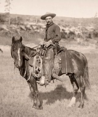 20x24 - Inch Photo The Cow Boy By John Grabill 1887,  Cowboy,  Dakota Territory,  Sd