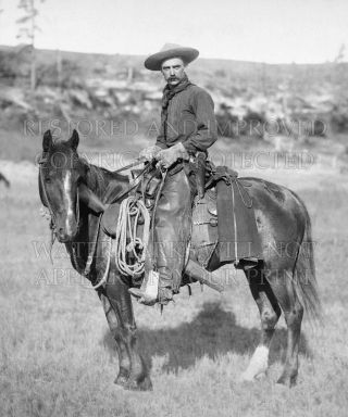 20x24 - inch photo The Cow Boy by John Grabill 1887,  cowboy,  Dakota Territory,  SD 2