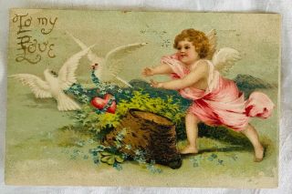 Antique Embossed Victorian Valentine Postcard By Iap - Cherub Chasing Doves