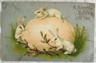 Antique Udb Easter Postcard - Bunny Rabbits With Large Egg - 1906