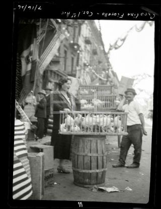 1926 Chicken Vendor 1st Ave Manhattan Nyc York City Old Photo Negative 655b