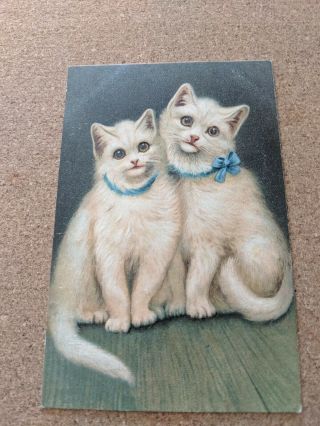 Cat Vintage Postcard.  Art.  2 White Cats.  Blue Bows.  Embossed.  Postmarked 1907.