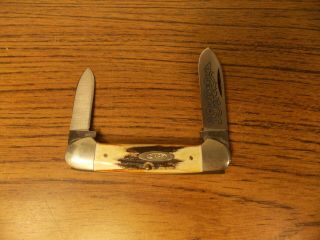 1977 Case Xx 52131 Ssp 3 - Dot 2 - Blade Blue Scroll Stag Canoe Folding Knife