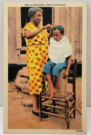 Black Americana A Good Wool Crop In Dixieland Linen Era Postcard D13