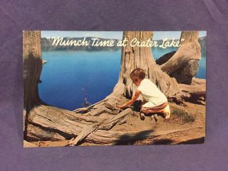 Munch Time At Crater Lake,  Oregon Postcard Plastichrome