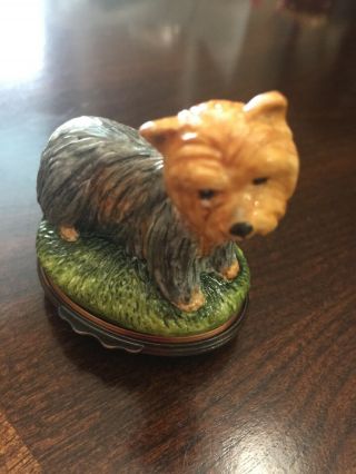 Hd London - Yorkshire Terrier - Porcelain Trinket Box