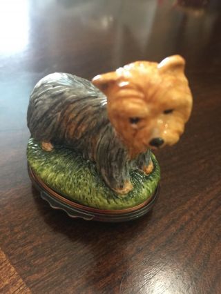 HD London - Yorkshire Terrier - Porcelain Trinket Box 2