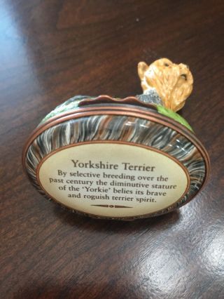 HD London - Yorkshire Terrier - Porcelain Trinket Box 7