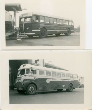 (2) Vintage B/w Photo - Pacific Electric And Santa Fe Buses