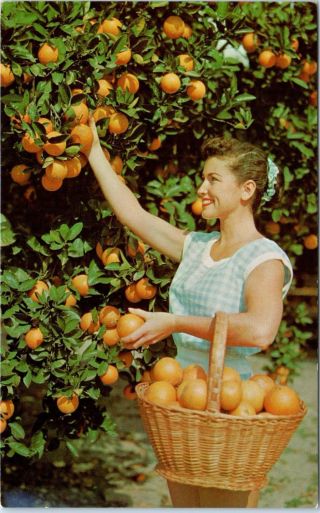 Florida Promotional Postcard Pretty Lady With Basket Of Oranges C1950s