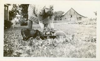 Vintage B/w Snapshot Photo - Grandma With Her Kittens And Cats On The Farm