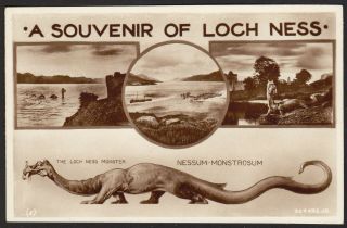 Loch Ness Monster Postcard " A Souvenir Of Loch Ness "