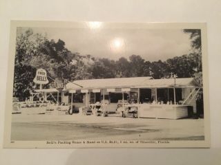 Vintage Photo Postcard - Bell’s Packing House &stand On U.  S.  1 - Titusville,  Florida