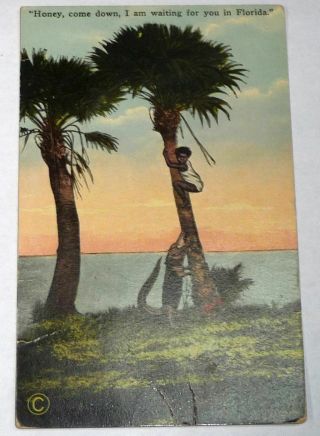 Black Americana Postcard Titled Honey,  Come Down,  I Am Waiting For You In Florida