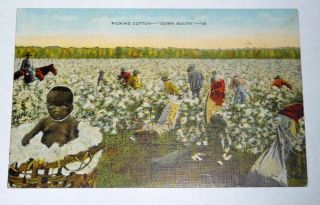 Black Americana Postcard Titled Picking Cotton Down South