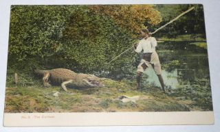 Black Americana Postcard Titled The Contest,  Boy Spearing Alligator