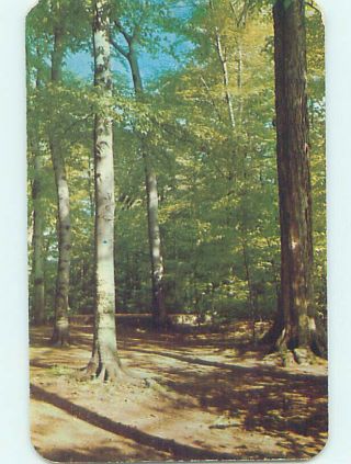 Pre - 1980 Joseph Smyth Tree Palmyra - Near Rochester York Ny Ad3748
