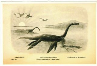 DINOSAUR Plesiosauria Loch Ness Monster Paleontology Art Joseph Smit Postcard 2