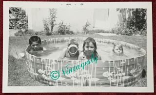Vintage Photo Boys Girls In Pool Swimming Mask Swimming Suits