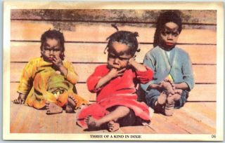 Vintage Black Americana Postcard " Three Of A Kind In Dixie " Black Children 1940s