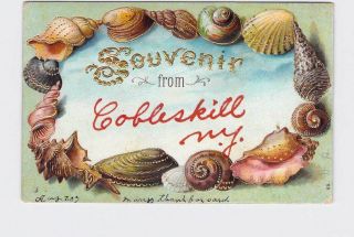 Antique Postcard Sea Shell Border Souvenir From Cobleskill York Handwritten