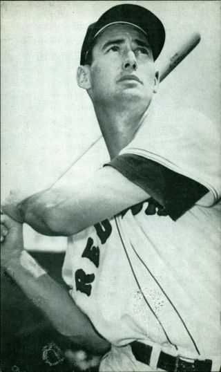 1956 J D Mc Carthy Baseball Postcard Ted Williams Hof Boston Red Sox