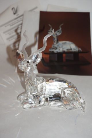 Swarovski Crystal Members Edition Kudu