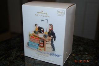 2007 Hallmark Harry Potter Cauldron Trouble Magic Series Xmas Keepsake Ornament