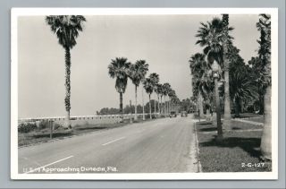Route 19 Dunedin Florida Rppc Rare Vintage Roadside Photo—pinellas County 1955
