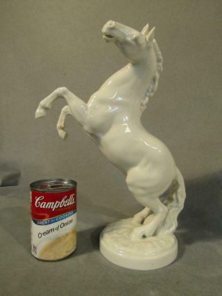 Large 13 " Old Hutschenreuther Porcelain Rearing Horse Figurine