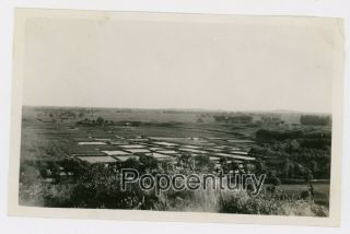1932 Photograph China Peking Peiping Summer Palace View Rice Paddies Photo