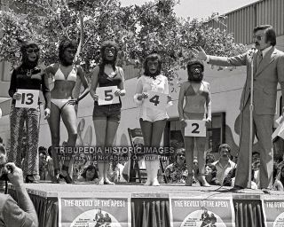 Vintage 1972 8x10 Photo Most Ape Beauty Bikini Contest Planet Apes