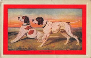 Two Pointers - Hunting Dogs - Old Postcard