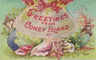 Vintage Novelty Coney Island Ny Postcard Sea Shells Small Pictures Under Clam