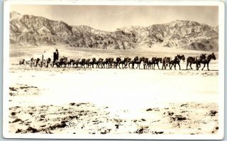 Death Valley,  California Rppc Real Photo Postcard " 20 - Mule Team " Frasher C1930s