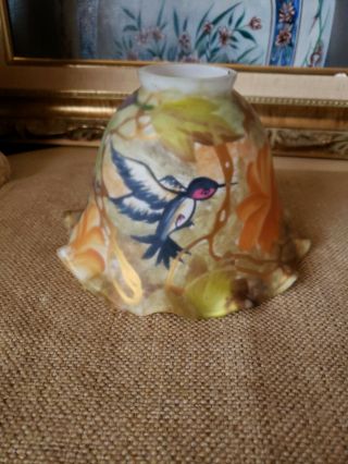 Vtg Frosted Glass Reverse Hand Painted Lamp Shade Birds And Flowers Beautyful