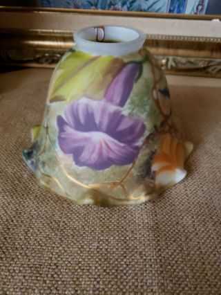 Vtg Frosted Glass Reverse Hand Painted Lamp Shade BIRDS and FLOWERS BEAUTYFUL 3